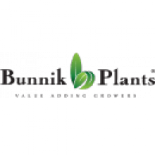 Limitronic Bunnik Plants